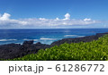 ハワイ 61286772