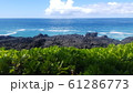 ハワイ 61286773