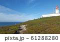 ポルトガル 61288280