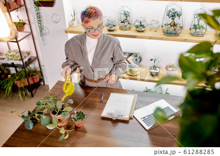 Top view on modern senior business lady watering plants Top view on modern senior business lady watering plants 61288285