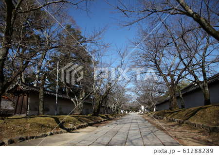 醍醐寺 醍醐寺 61288289