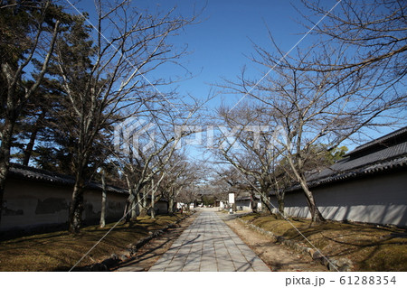 醍醐寺 醍醐寺 61288354