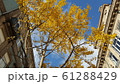 ポルトガル 61288429