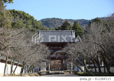 醍醐寺 醍醐寺 61288515