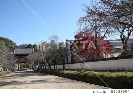 醍醐寺 醍醐寺 61288694