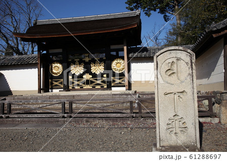 醍醐寺 61288697