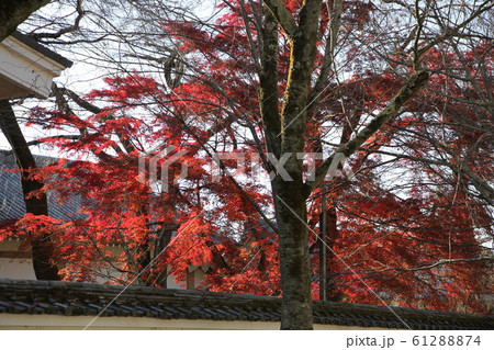 醍醐寺 醍醐寺 61288874