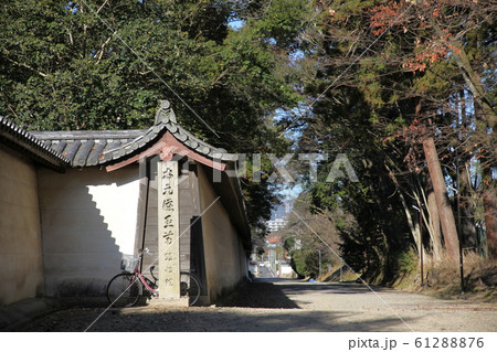 醍醐寺 醍醐寺 61288876