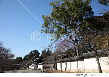 醍醐寺 61288909