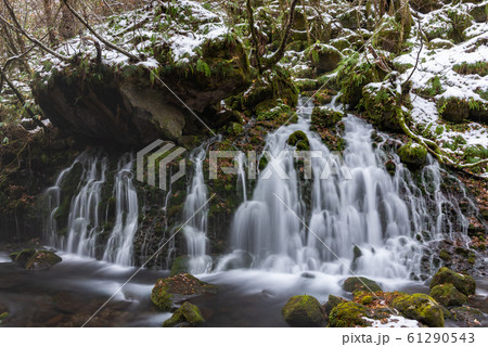 冬の元滝伏流水 61290543
