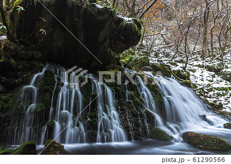 冬の元滝伏流水 冬の元滝伏流水 61290566