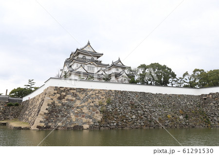 岸和田城 岸和田城 61291530