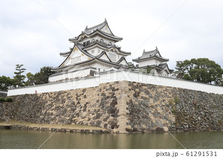 岸和田城 岸和田城 61291531