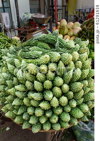 Karela vegetables or bitter gourd or bitter melon 61291638