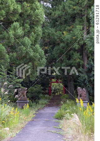 誘いの道 誘いの道 61291718