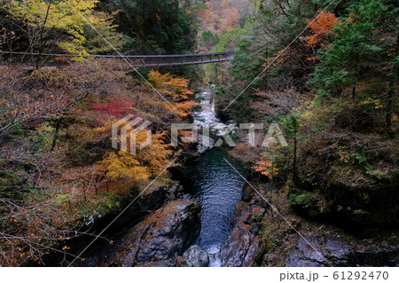 みたらい渓谷 橋と紅葉の写真素材