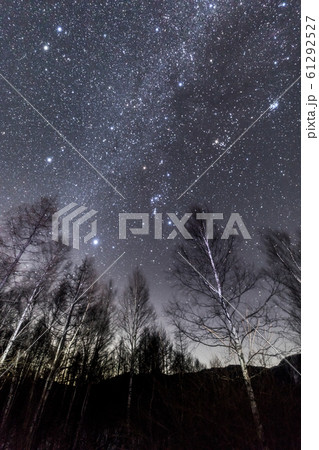 奥日光戦場ヶ原展望台から望む冬の星空 61292527