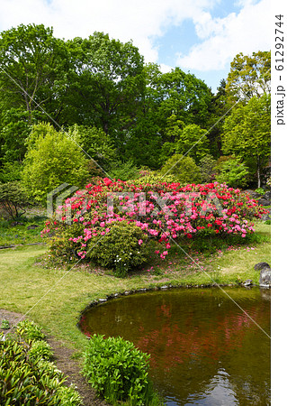 赤城自然園の春 赤城自然園の春 61292744