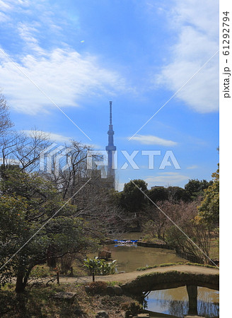東京都墨田区　向島百花園から見えるスカイツリー　 61292794