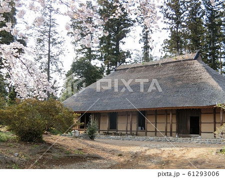 群馬県 阿久沢家と桜 群馬県 阿久沢家と桜 61293006