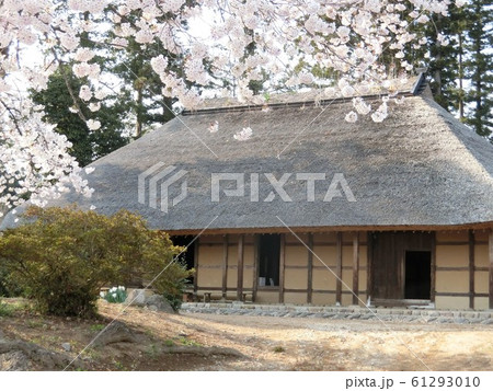 群馬県　　　阿久沢家と桜 61293010