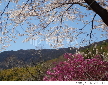 群馬県 土と火の里公園 群馬県 土と火の里公園 61293017