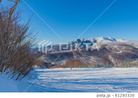 冬の尾瀬 61293330