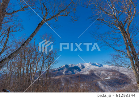 冬の尾瀬 61293344