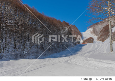 尾瀬の冬 61293840