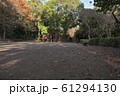 千葉県柏市南部公園の広場 61294130
