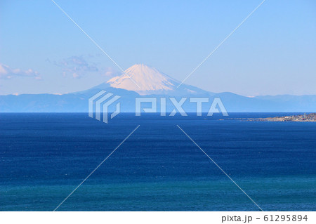 館山野鳥の森から望む富士山 館山野鳥の森から望む富士山 61295894