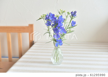 花瓶の花 デルフィニウムの写真素材