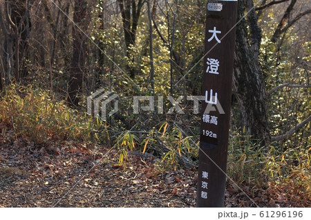 大澄山の山頂標識(東京都あきる野市) 大澄山の山頂標識(東京都あきる野市) 61296196