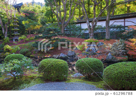 京都　泉涌寺（せんにゅうじ）の御座所庭園　紅葉　　　 61296788