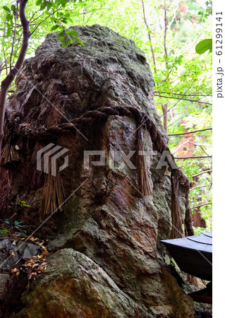 長者社の劔石（京都　伏見稲荷） 61299141