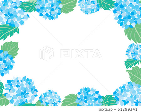6月の青い紫陽花のフレームイラストのイラスト素材