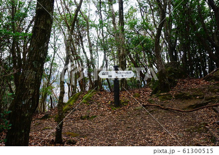 伊豆 城山 山頂方面とロッククライミングルートへの分岐 伊豆 城山 山頂方面とロッククライミングルートへの分岐 61300515