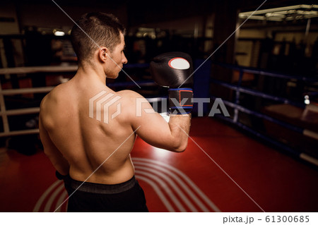 back of muscular man in ring back of muscular man in ring 61300685