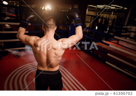 rear view on muscular man in ring rear view on muscular man in ring 61300702