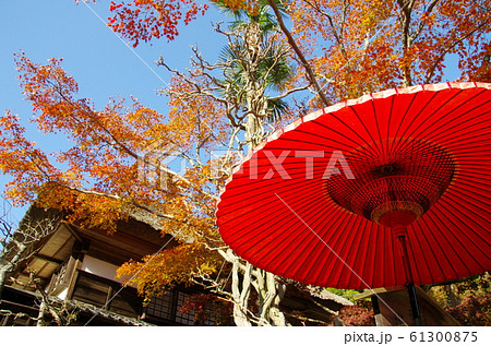 和傘と紅葉 和傘と紅葉 61300875