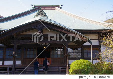 海蔵寺（鎌倉） 61300876