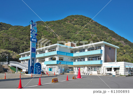 【むろと廃校水族館】 高知県室戸市室戸岬町 【むろと廃校水族館】 高知県室戸市室戸岬町 61300893