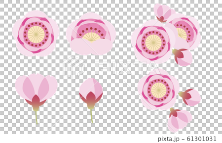桃花,桃花,花,娃娃節 桃花,桃花,花,娃娃節 61301031