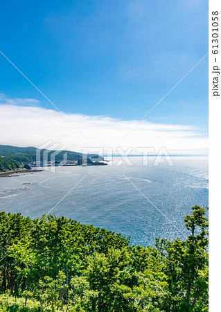 北海道 知床 オロンコ岩を見る 北海道 知床 オロンコ岩を見る 61301058