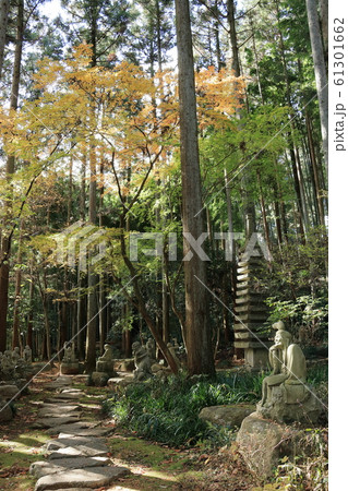 黒羽山大雄寺　ラカンの岡 61301662