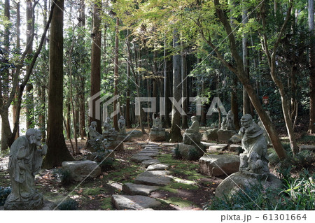 黒羽山大雄寺　ラカンの岡 61301664