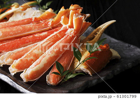 ズワイガニ 61301799