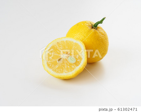 柚子 柚子 61302471