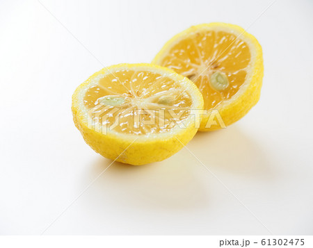 柚子 柚子 61302475