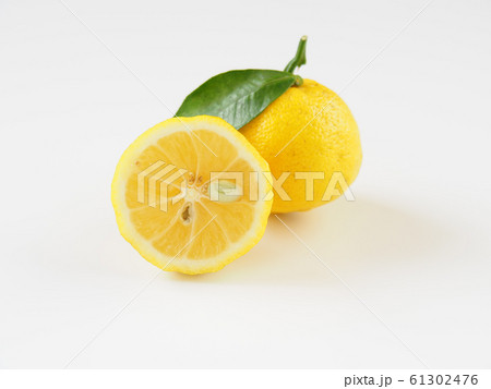柚子 61302476